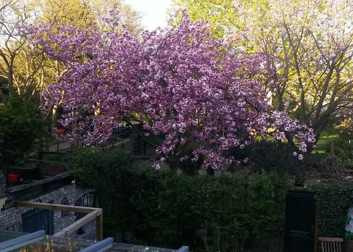 Bed and breakfast Bed En Broodje Bloem Delft