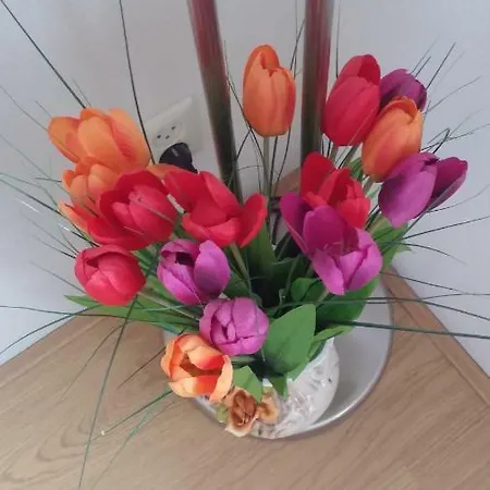 Bed & Breakfast Bed En Broodje Bloem Delft