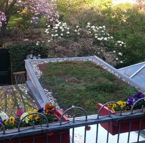 Bed En Broodje Bloem 4*